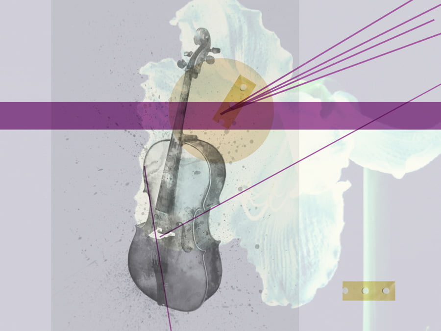 Cello Mad!